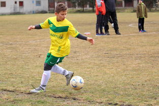 九游官网下载app下载-中超冠军梦碎后，蓉城要在亚洲赛场重塑信心，中甲成都蓉城今天比赛结果