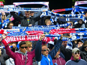 九游游戏中心-斯诺克史上最硬核的解球，没有之一，全场球迷看的目瞪口呆，斯诺克解球规则及玩法